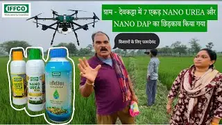 नैनो यूरिया और नैनो डीएपी: किसानों के लिए क्रांतिकारी तकनीक, देखें देवकट्टा में 7 एकड़ की शानदार फसल