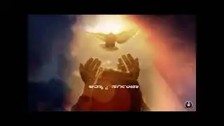 Divine Grace Flows 22 : Rev. Fr. Jerry Sequeira