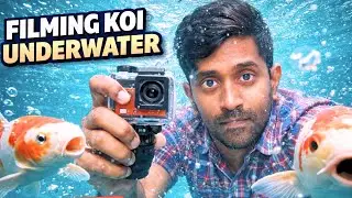 Shooting Koi Fish Underwater 🐟 | Action Camera at Our Place Restaurant | Vijayawada to Jujjavaram