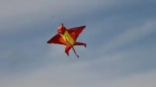 Aldi / Crane kite - 3D Fish Kite