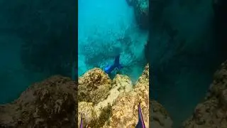 Follow for mermaid content 24/7 NEW mermaid vids daily ✨ #mermaid #mermaids #underwater