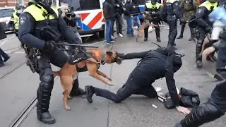 Dutch riot police clash with anti-lockdown protesters in Amsterdam