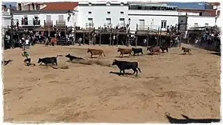 Capeas Segura de Le&oacute;n (Nono)15 9 2017