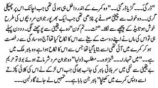 Urdu Novel 