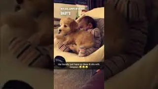 Эта собака и ребенок &mdash; лучшие друзья 👏❤️