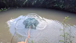 PASANG JEBAKAN UDANG DI SPOT SUNGAI KECIL PAKAI UMPAN PELET TAKARI !!