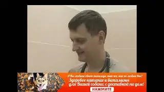 ЧЕМ КОРМИТЬ СОБАКУ  Правильные витамины для собак Советы ветеринара!