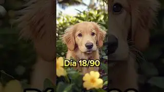 Como ganamos dinero sin riesgo? 💶 #reto2000a5000