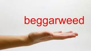 How to Pronounce beggarweed - American English
