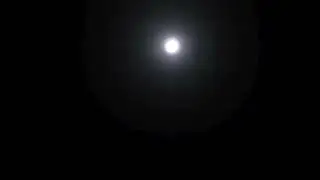 IMG 0891