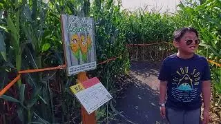 CORNMAZE
