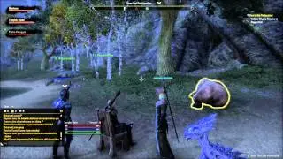 Elder Scrolls Online Beta: Daggerfall Covenant - Jolly Cooperation 1