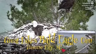 Look at These Two &lsquo;Turkeys&rsquo; on Thanksgiving Morning!