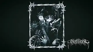 VXISSIGEN - IN SENSITIVE (SLOWED) 