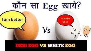 Desi eggs vs white eggs | broiler egg vs desi egg | difference between desi egg and normal egg