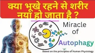 AUTOPHAGY & IF: Fasting Secrets to Burn Fat, Reverse Aging & Boost Longevity