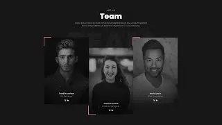 Learn how to design an Our Team section using HTML and CSS | Easy Web Learner.