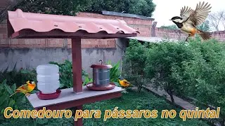 Backyard bird feeder