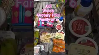 Feeding a Family of 6 at Aldi | Budget Grocery Haul + Easy Meals