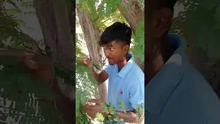 Rourkela airport ✈️#shortvideo #youtubeshorts #rourkela #airport