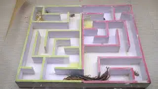 Ant Mirror Floor: Half-Mirror Strip vs Matte 🪞