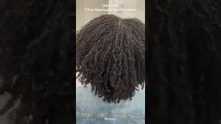 Client Cam - 1 Year Sisterlocks Journey #sisterlocks #sisterlocs #microlocks