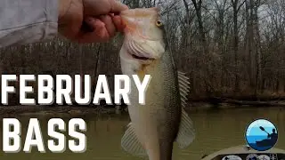 February Creek Fishing in North Alabama!