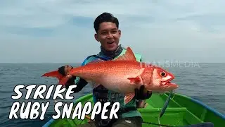 Battle Fishing Ruby Snapper di Laut Morowali | MANCING MANIA STRIKE BACK (18/01/25) Part 1