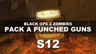 Black Ops 2 Zombies: Pack A Punched Guns | S12/Synthetic Dozen