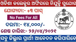 Odisha Collector Office Recruitment For The Post Of Accountant / Data Analyst | Odisha Jobs 2021