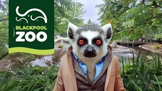 Blackpool Zoo One of the UK's top animal parks