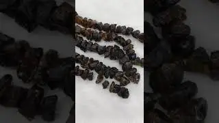 natural amber beads