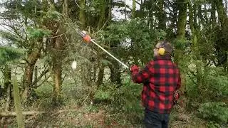 BU-KO 52cc Long Reach Pruner Saw
