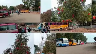 Shillong to tura bus station, Pollo