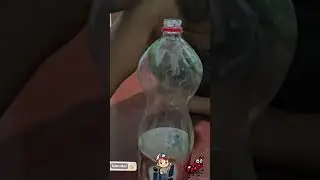 TUDO SOBRE FORMIGA I&Ccedil;&Aacute; CONHECIDA COMO TANAJURA 🔥🐜🔥