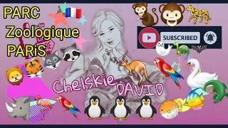 PARC ZOOLOGIQUE PARIS 🇫🇷 | Amazing Place with family | Zoo Paris| Affordable, Accessible & Enjoyable