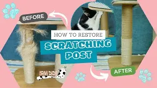 DIY How To Refurbish/Restore a Cat Scratching Post &ndash; Repair a Cat Tree Scratcher Pole &ndash; Bravo Dada!