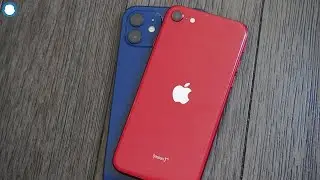 Iphone 12 vs Iphone SE 2 In 2021 - Which To Buy?