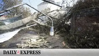 Storm Debi likely to bring dangerous winds as amber warning issued