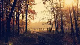 Can Spiritual Practice Be Just Another Ego Project?