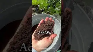 Can You Reuse Old Potting Soil? Here&rsquo;s How