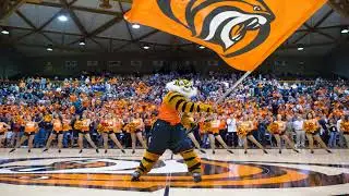 Pacific Tigers Live Stream