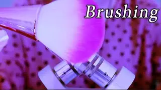 🎧ASMR Deep Brain Massage & Mic Brushing With Different Brushes [No Talking ]