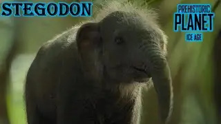 Доисторический карликовый стегодон (Stegodon sumbaensis) из ледникового периода планеты (детское ...