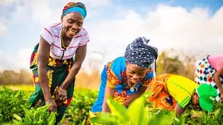 Creating sustainable livelihoods through local development programmes &ndash; Gemfields x Nat Geo
