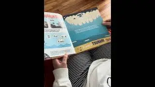 Read Aloud: I, Rock: A Geology Tale