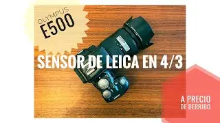 Olympus e500, el sensor CCD de Kodak que la convirtió en la Leica de los Pobres!