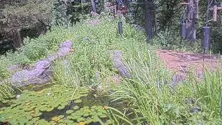 LIVE Cam @ Richardson Nature Center &ndash; Bloomington, Minnesota