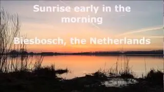 Biesbosch, March 2017