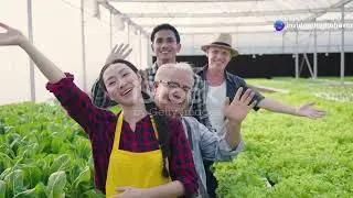 Hydroponic Nutrients 101 - Master Your Mix